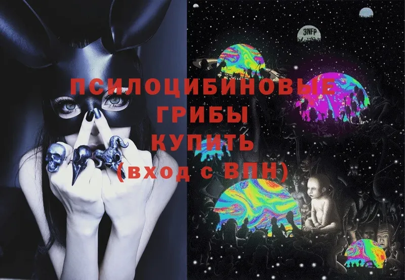 Галлюциногенные грибы Magic Shrooms  Воркута 